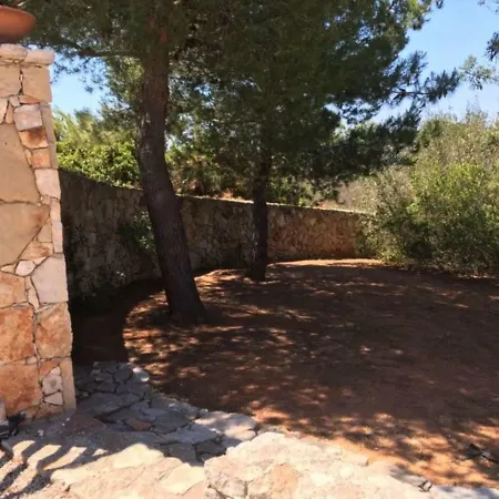 Panoramica Con Piscina *